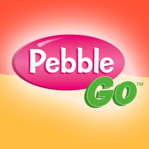 pebblego