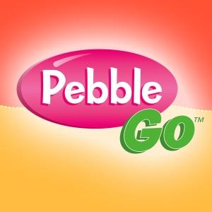 pebblego